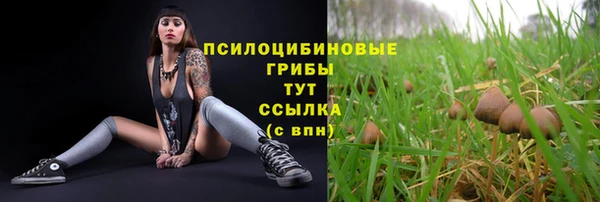 крисы Белокуриха
