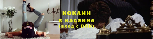 крисы Белокуриха