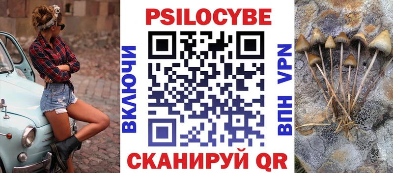 Галлюциногенные грибы MAGIC MUSHROOMS  сколько стоит  даркнет состав  Нерчинск 