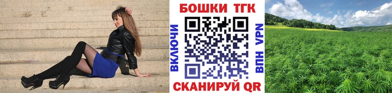 наркота  Нерчинск  Канабис индика 